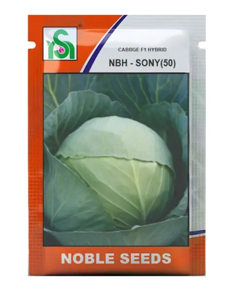 Nbh - Sony (50) F1 Cabbage Seeds 1