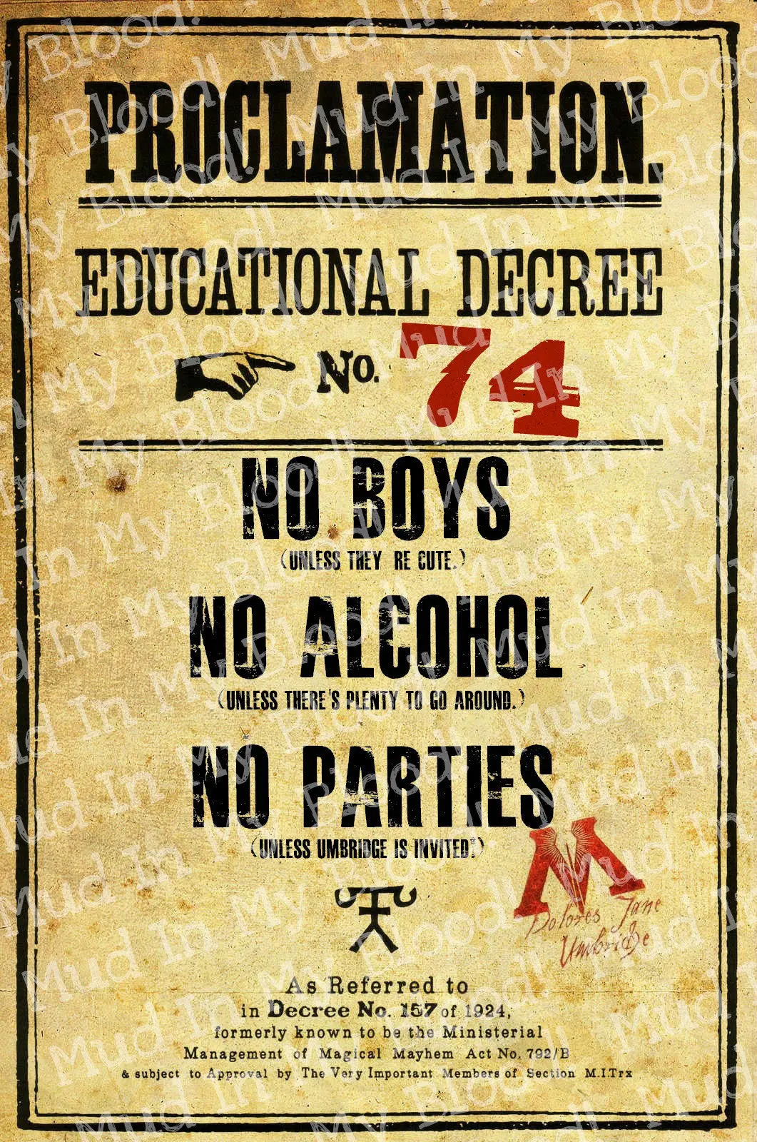 Rules Decree Poster From A Very Wizard Sequel 1