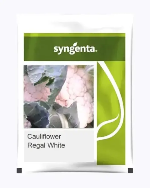 Cfl -Regal White [C-2071] Cauliflower Seeds 1