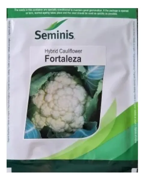 Fortaleza Cauliflower 1