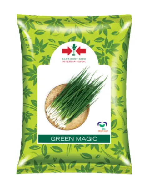 Green Magic Onion Seeds 1