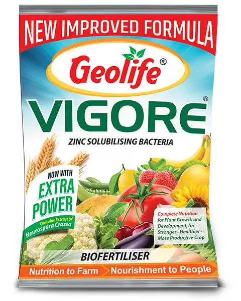 Geolife Vigore - Advanced Bio Fertilizer For Higher Yield 1
