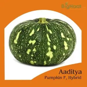 Aaditya Pumpkin Seeds... 1