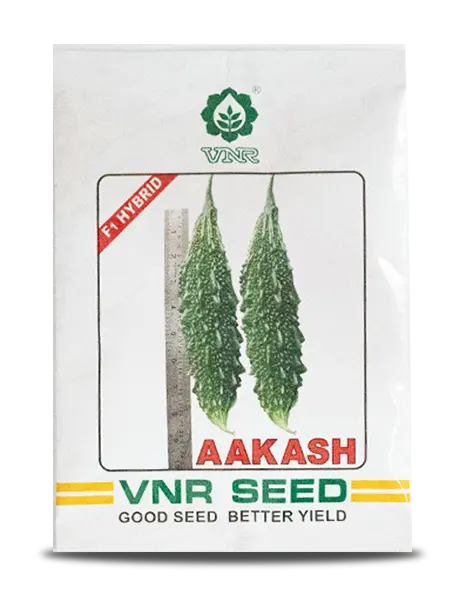 Akash F1 Hybrid Bitter Gourd Seeds - Dark Green, High Yield, Flexible Spines 1