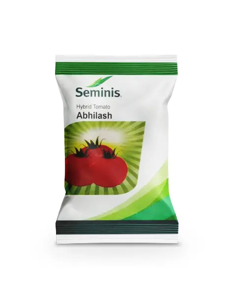 Abhilash Tomato Seeds – High Yield, Flat Round, Seminis 1