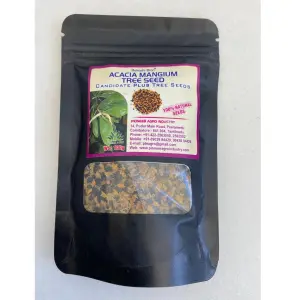 Pioneer Agro Acacia Mangium (Seed) 1