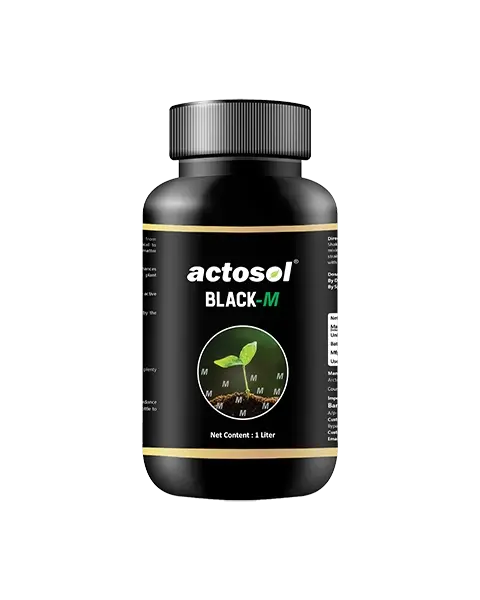 Actosol Black-M 1
