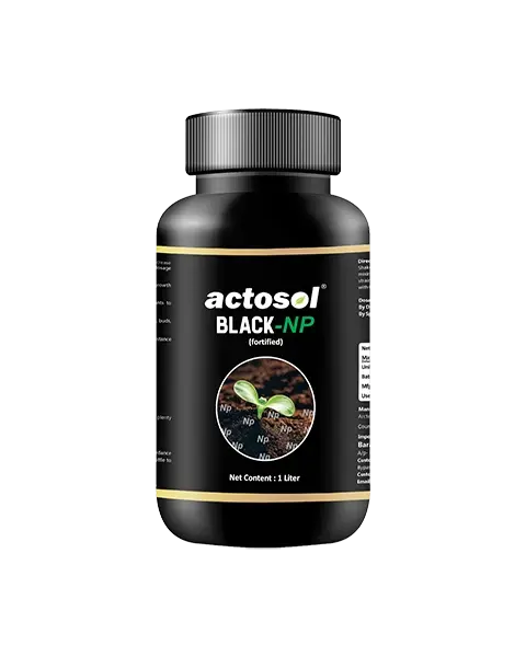 Actosol Black-Np 1