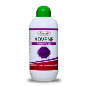 Amruth Adven (Liquid Biofertilizer Frateuria Sp. ) 1