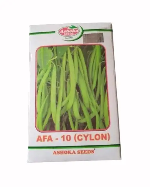 Afa 10 Cylon Beans Seeds – High Yielding, 16–18 Cm Long Pods 1