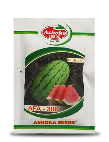 Ashoka Seeds Afa 306 Watermelon- Oval, Sweet, Deep Red Fruit 1