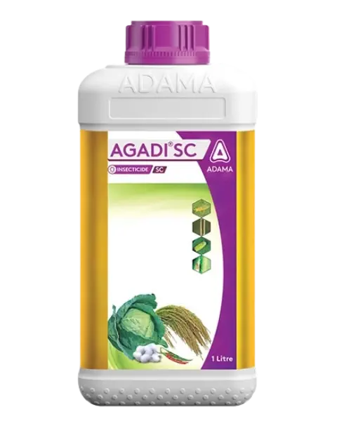 Adama Agadi Sc Insecticide -Fipronil 5% Sc For Bph, Dbm, Thrips, Aphids & More 1