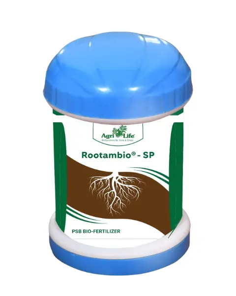 Agrilife Rootambio Sp 1