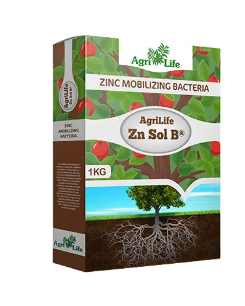 Agrilife Zn Sol B 1
