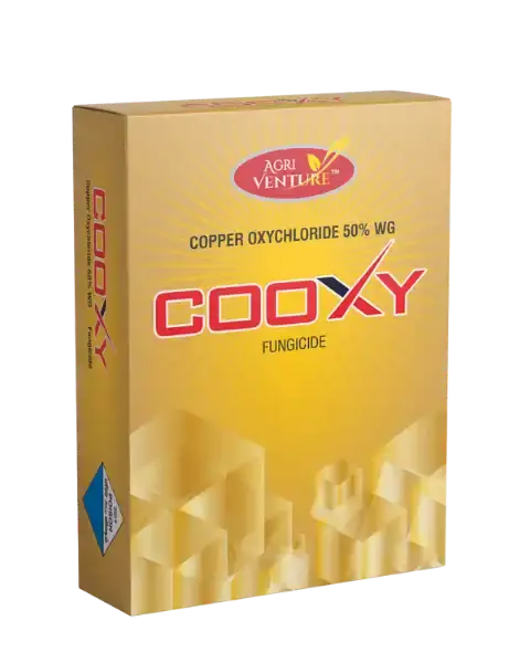 Agriventure Cooxy (Copper Oxychloride 50 % Wp) – Effective Against Fungal Infections 1