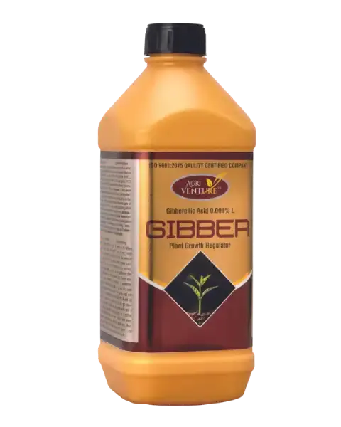Agriventure Gibber 1