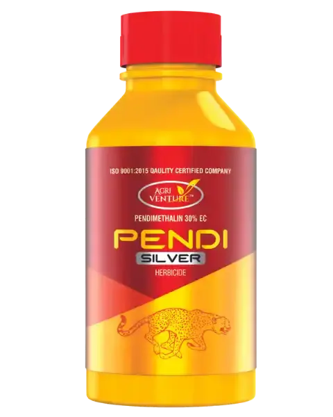 Agriventure Pendi Silver 1