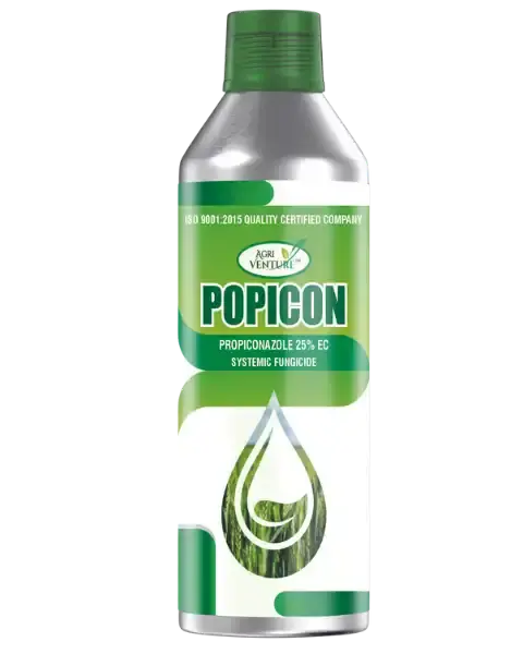 Agriventure Popicon 1
