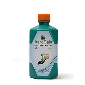 Sea6 Energy Agrogain Plant Biostimulant (Macroalgal Extract 21% W/W Min, Natural Acidity Regulator, Stabilizer) 1