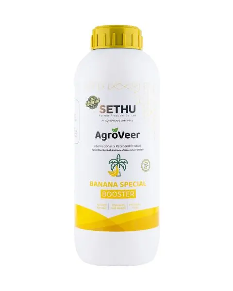 Agroveer Banana Booster 1