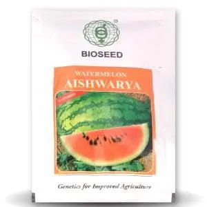 Aishwarya Watermelon ( ऐश्वर्या तरबूज ) - Seeds 1