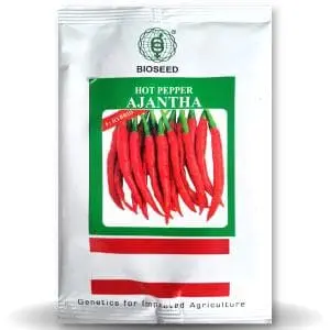 Ajantha Chilli (अजंता मिर्च ) - Seeds 1