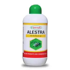 Amruth Alestra Bio Insecticide (Verticillium Lecanii) – Controls Sucking Pests 1