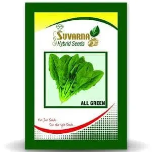 All Green Palak 1