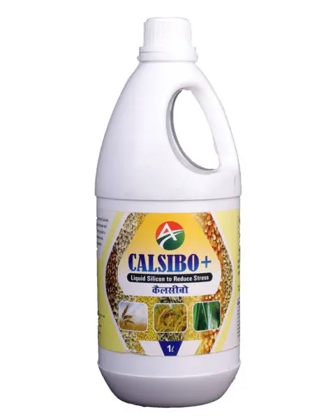 Alviron Calsibo 1