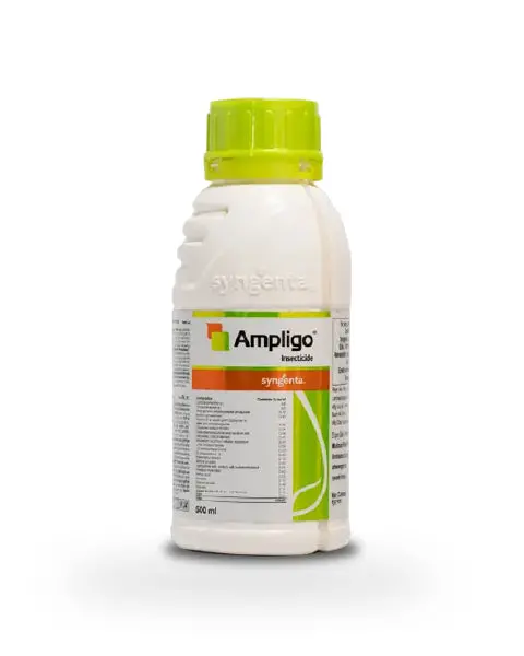 Ampligo Insecticide By Syngenta - Chlorantraniliprole 9.3% + Lambdacyhalothrin 4.6% Zc 1