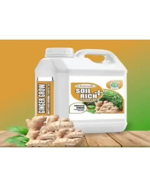 Amruth Ginger Microbial Consortia(Agg) | Amruth Ginger Grow 1