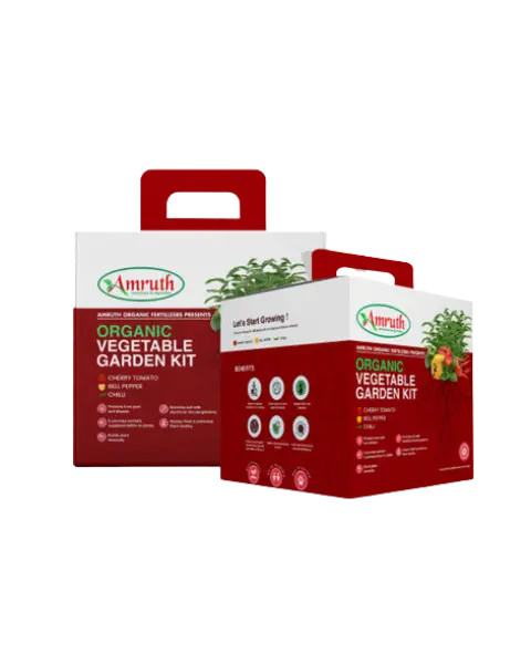 Amruth Organic Vegetable Gardening Kit 1