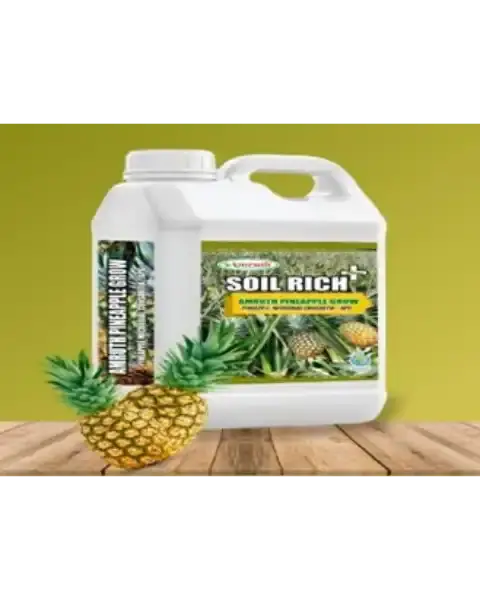 Amruth Pineapple Grow (Apg) | Amruth Pineapple Microbial Consortia 1