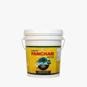Anand Dr Bacto's Pancham Gold Granule (Biostimulant) 1
