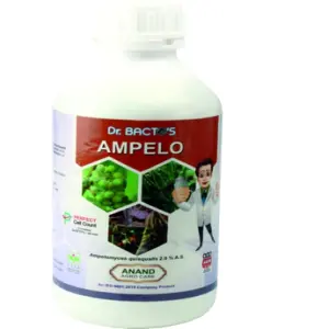 Anand Dr. Bacto's Ampelo (Bio Fungicide) – Highly Effective Against Powdery Mildew 1