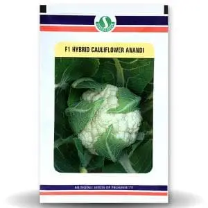 Anandi Cauliflower Seeds 1