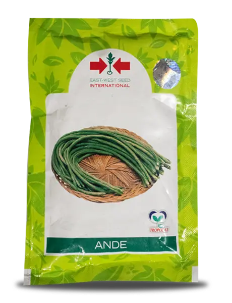Ande Yard Long Beans Seeds - High Yield & Excellent Pod Quality 1