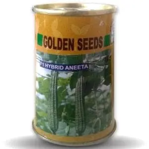 Aneeta Ridge Gourd Seeds - Cylindrical, Deep Ridged, High Yield 1