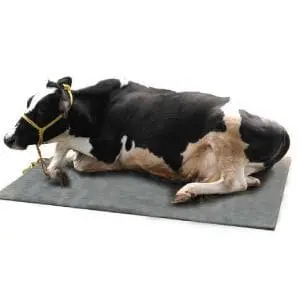 Ecowealth Rubber Mat For Cattles 1