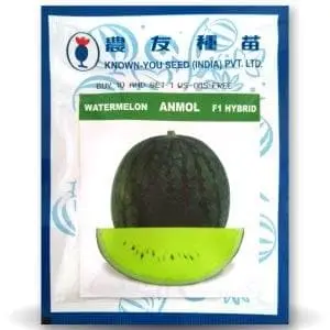 Anmol Yellow Watermelon ( अनमोल पीला तरबूज ) 1