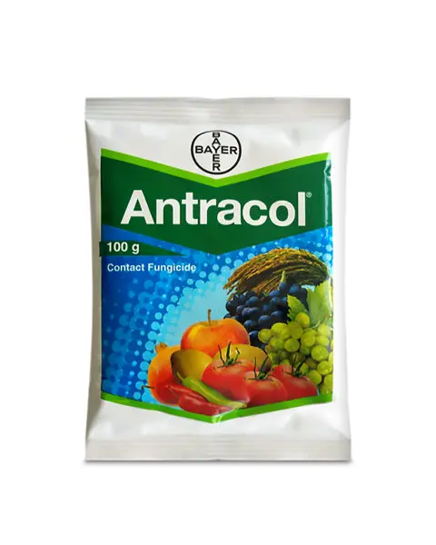 Antracol Fungicide By Bayer (Propineb 70% Wp) For Fungal Diseases 1