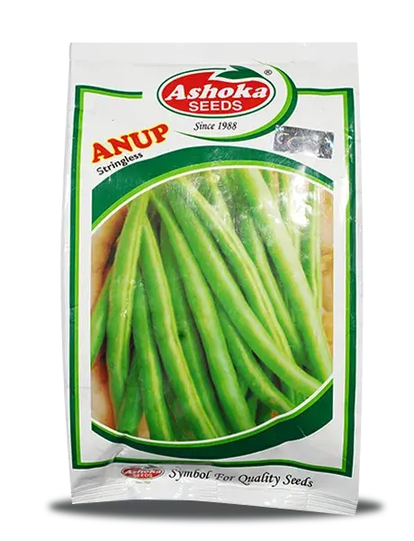 Anup Beans (Bush Beans) - Fast Growth, Dark Green, High Yield, Virus Tolerant 1