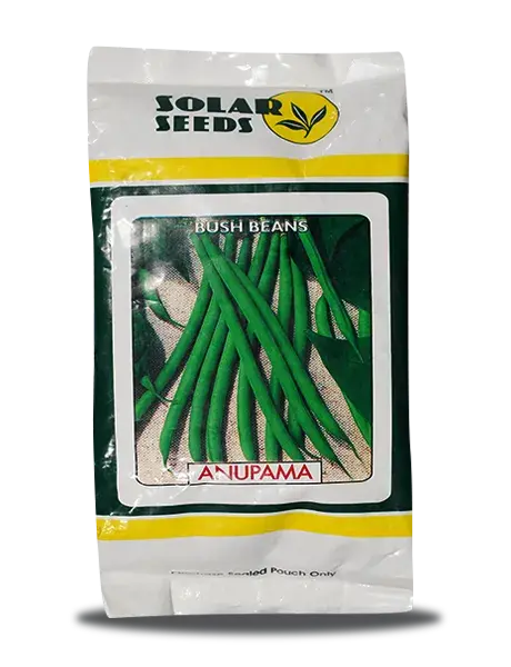 Anupama Beans - Improved, Stringless, Thick Tender Pods, High Yield 1