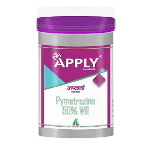 Apply Insecticide (Pymetrozine 50% Wdg) – Controls Brown Plant Hopper In Paddy Fields 1