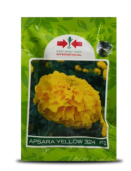 Apsara Yellow 324 F1 Marigold 1