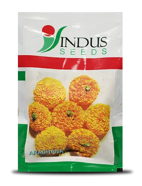 Aradhana Marigold Seeds - Deep Orange, Compact Flowers, 3-3.5 Ft 1