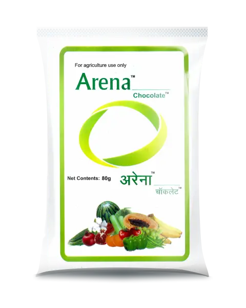 Arena Chocolate 1