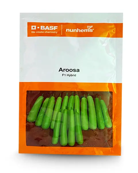 Aroosa F1 Bottle Guard Seeds 1