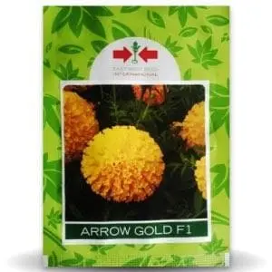 Arrow Gold Marigold 1