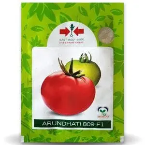 Arundhati 809 F1 Tomato ( अरुंधती टमाटर ) 1